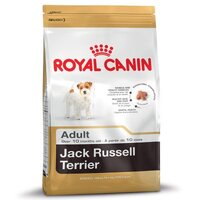 Jack Russell Adult สุนัขโตพันธุ์แจ็ค รัสเซลล์ 3.0 กก.