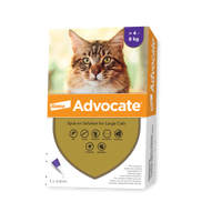 Advocate สำหรับแมว น้ำหนัก 4-8 kg
