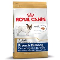 French Bulldog Adult สุนัขโตพันธุ์เฟรนช์ บูลด็อก 9 กก.