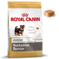 Yorkshire Terrier Junior ลูกสุนัขยอร์คไซร์ เทอร์เรีย 500 กรัม