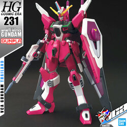 HG INFINITE JUSTICE GUNDAM (REVIVE)