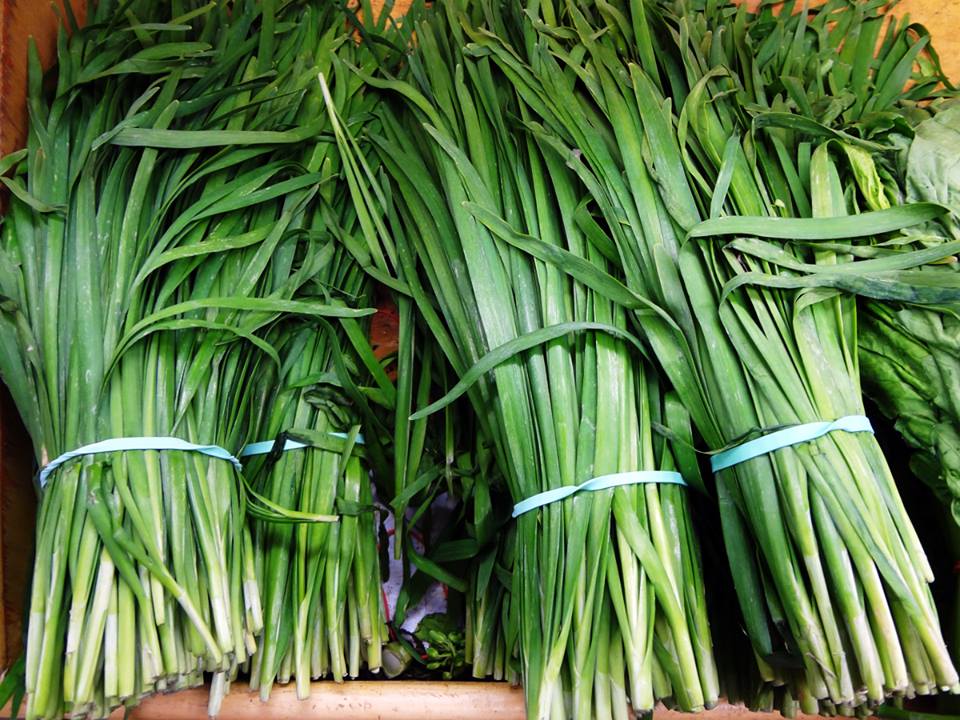 เมล็ดกุ้ยช่าย Chinese Leek 100 เมล็ด