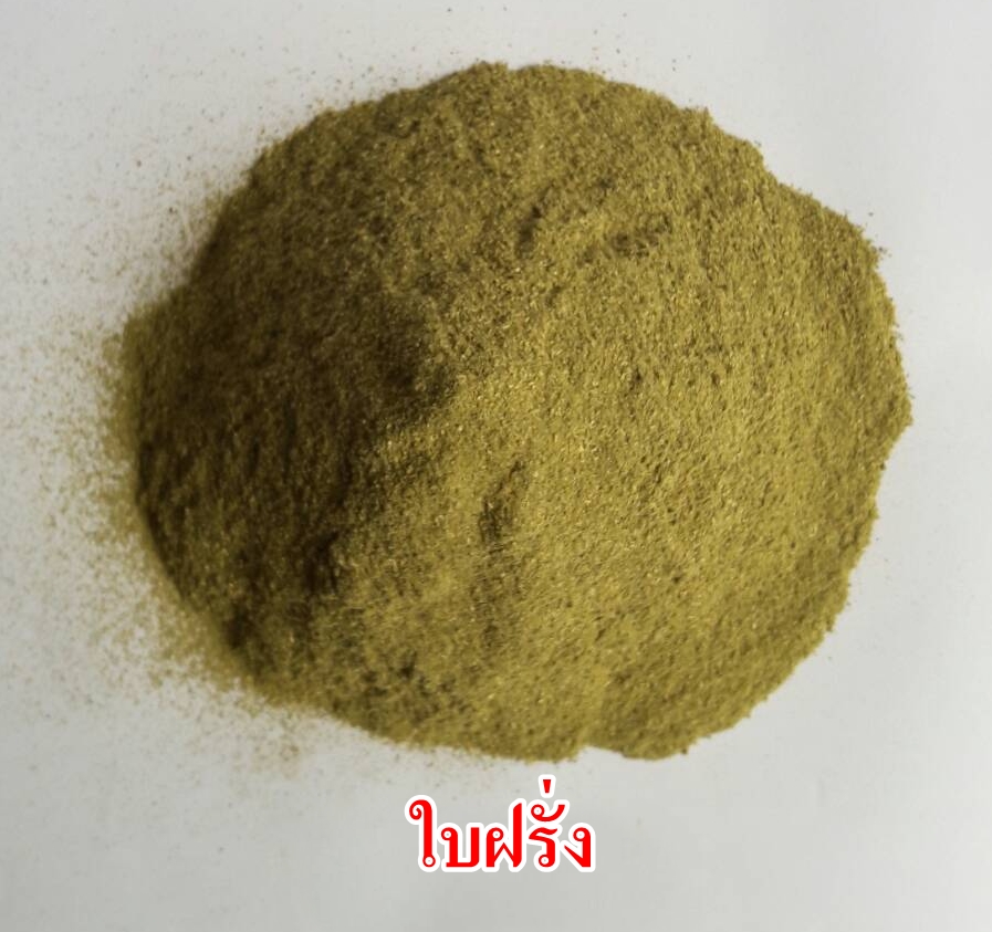 ผงใบฝรั่ง 100% (Guava Leaf Extract Powder)