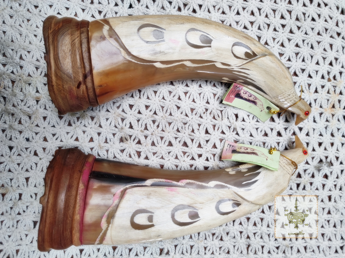 นกยูง คู่ เขาควายเผือก