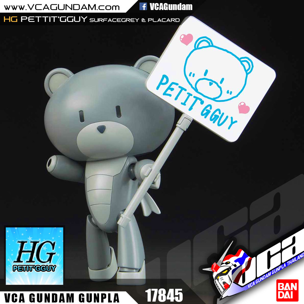 HG PETIT'GGUY SURFACEGREY & PLACARD