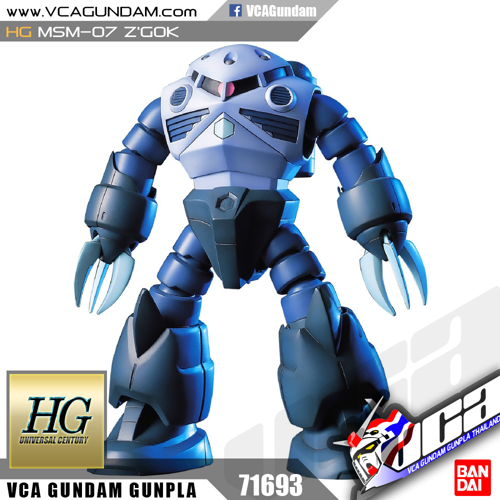 HG MSM-07 Z'GOK