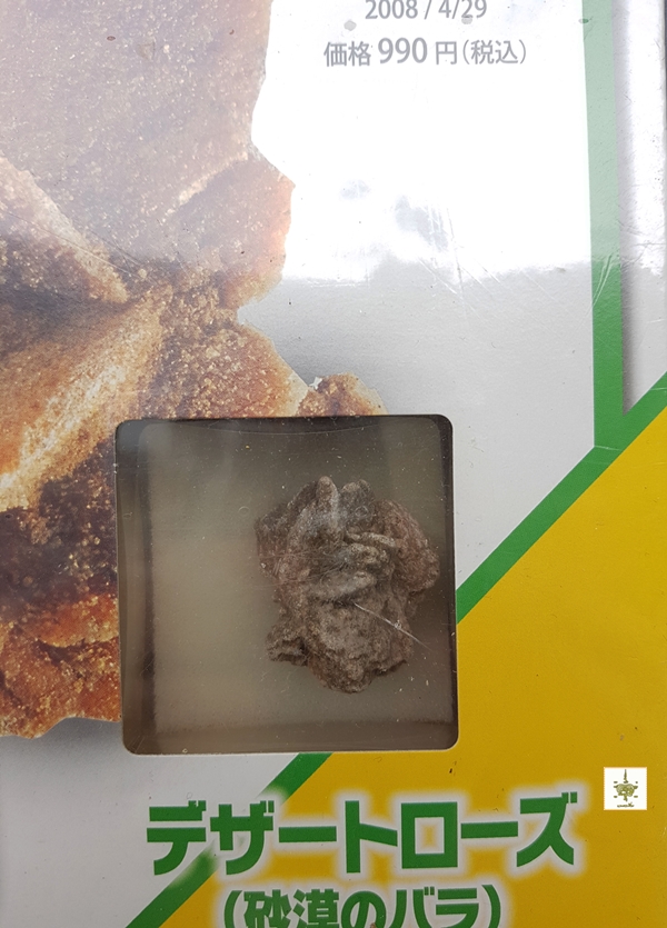 กุหลาบทะเลทราย