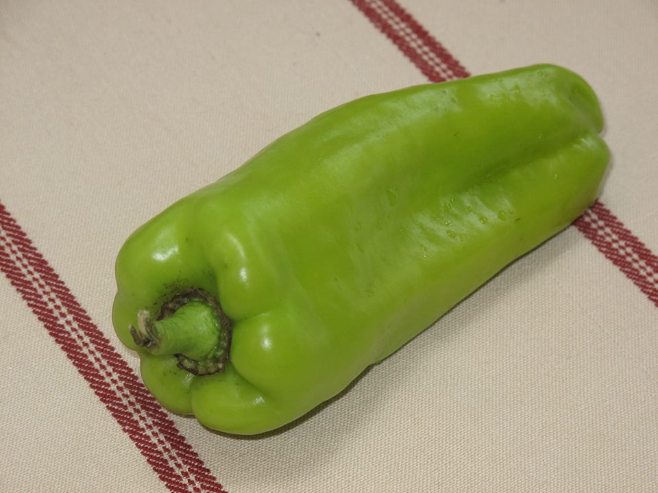 พริกหวานอิตาลี่ คูบาแนล Italian CUBANELLE PEPPER 20 เมล็ด