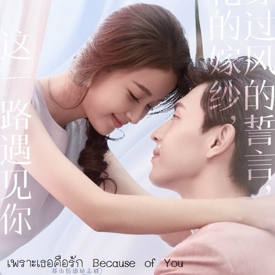[จีนพากย์ไทย] เพราะเธอคือรัก Because of You / Because of Meeting You DVD 10 แผ่น