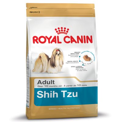 Shih Tzu สุนัขพันธ์ุชิห์สุ