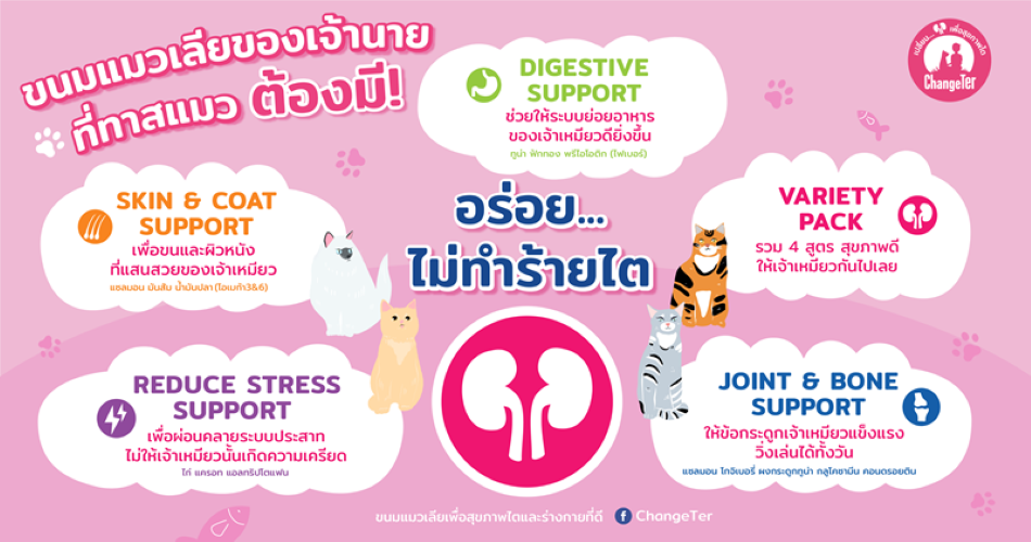 อาหารแมวแบบเปียก ChangeTer ไม่ทำร้ายไต 55gx48 ซอง ยกลัง