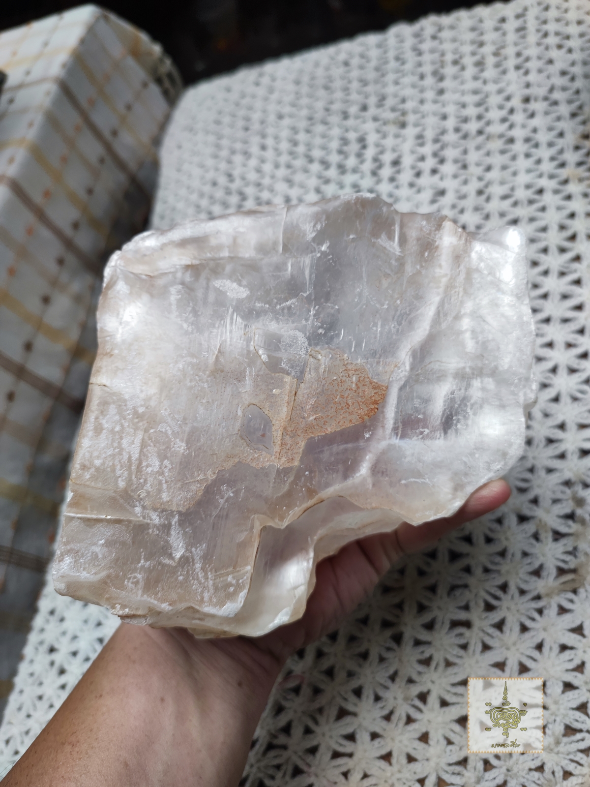 แก้วนางฝาน ใหญ่