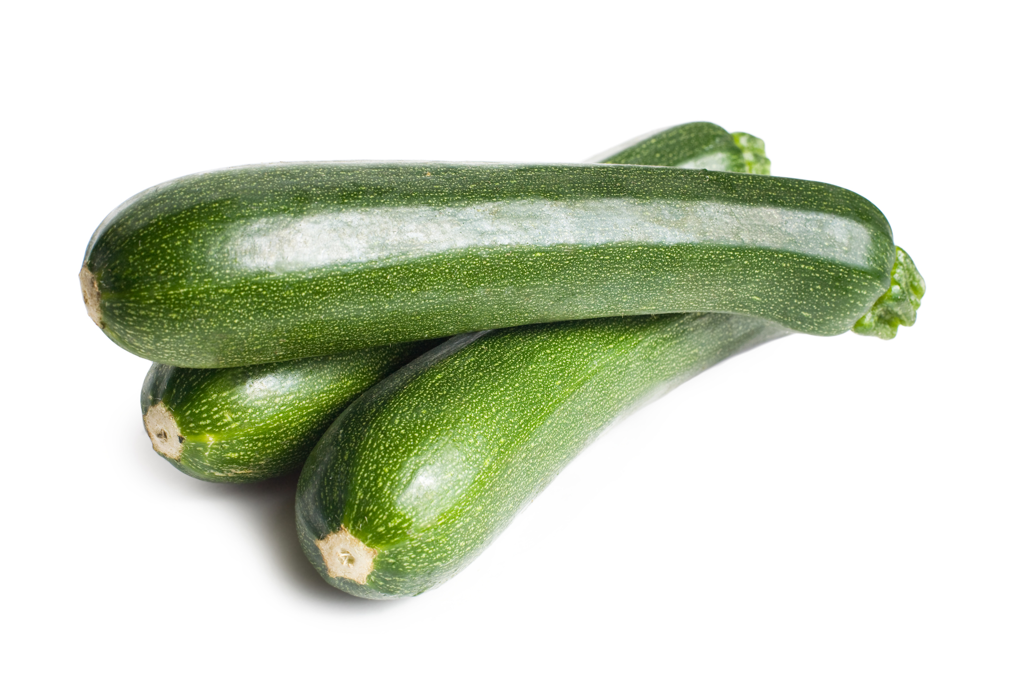เมล็ดพันธุ์ซูกินี สีเขียว (Green Zucchini) 12 เมล็ด