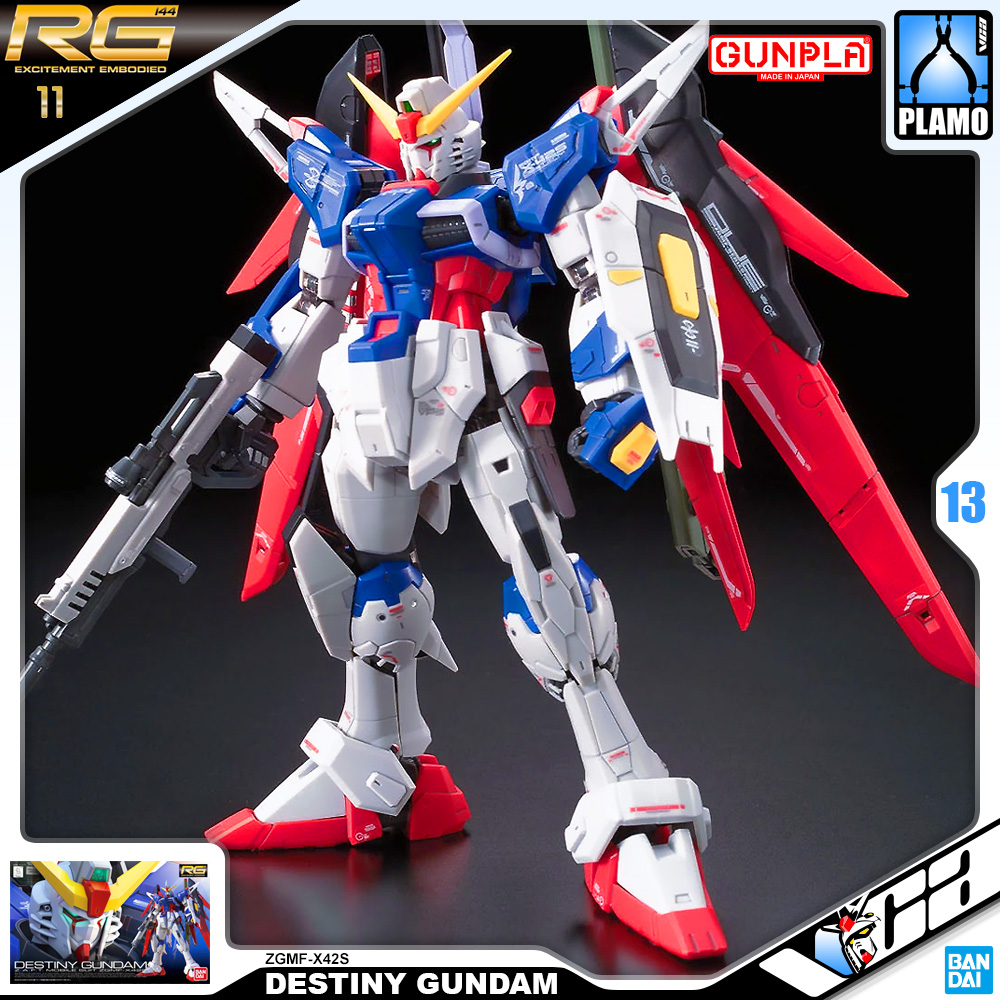 RG DESTINY GUNDAM