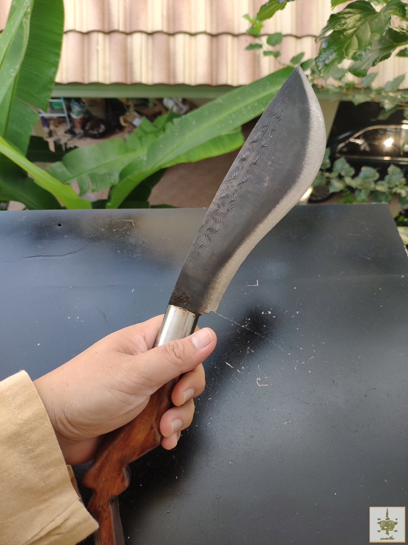 มีดเหน็บ ฮิปโป