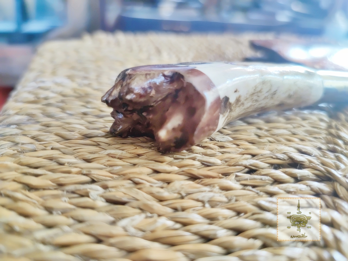 มีดเหน็บเล็ก เขากวาง ฝักไม้ปุ่ม