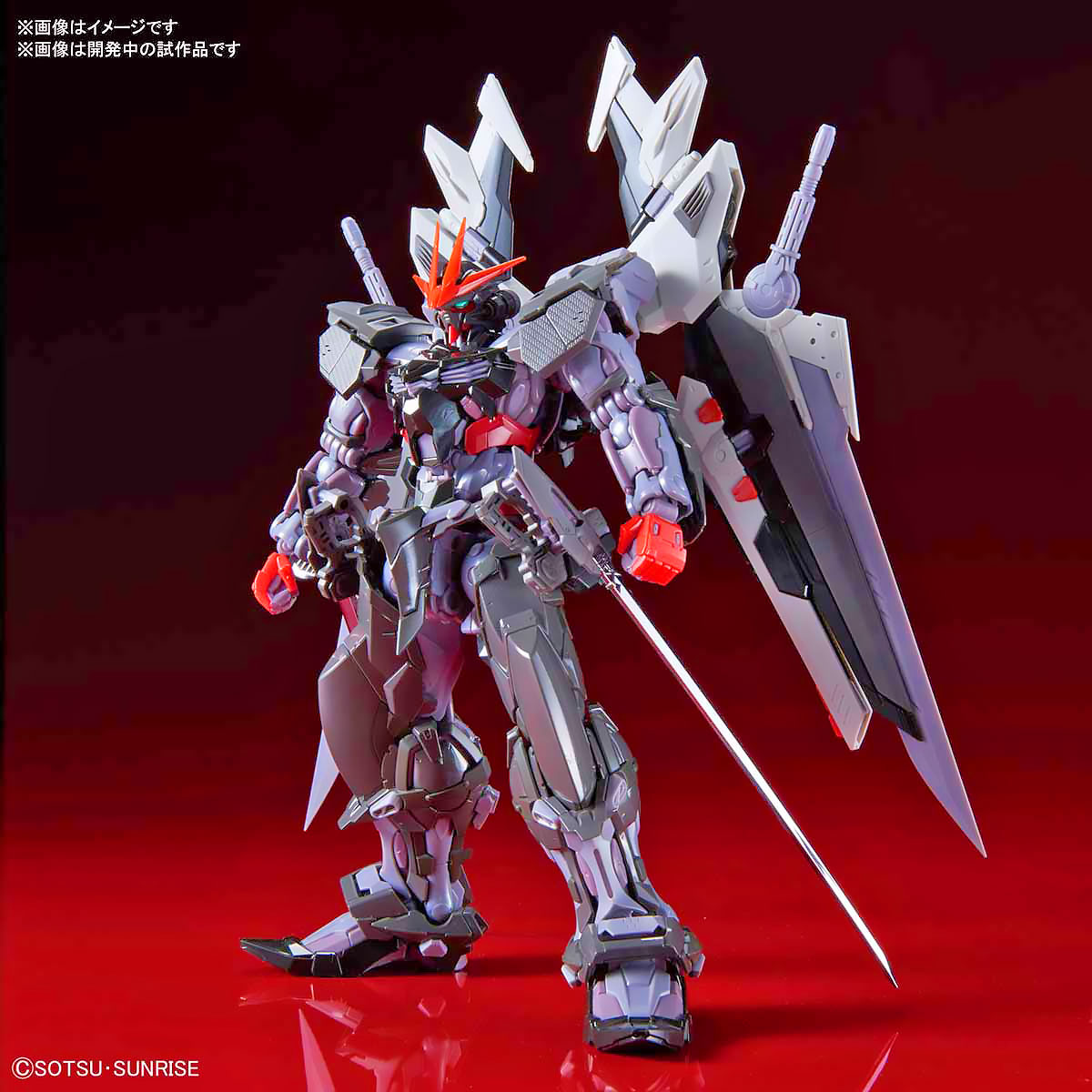 HIRM GUNDAM ASTRAY NOIR กันดั้ม แอสเทรย์ นอร์