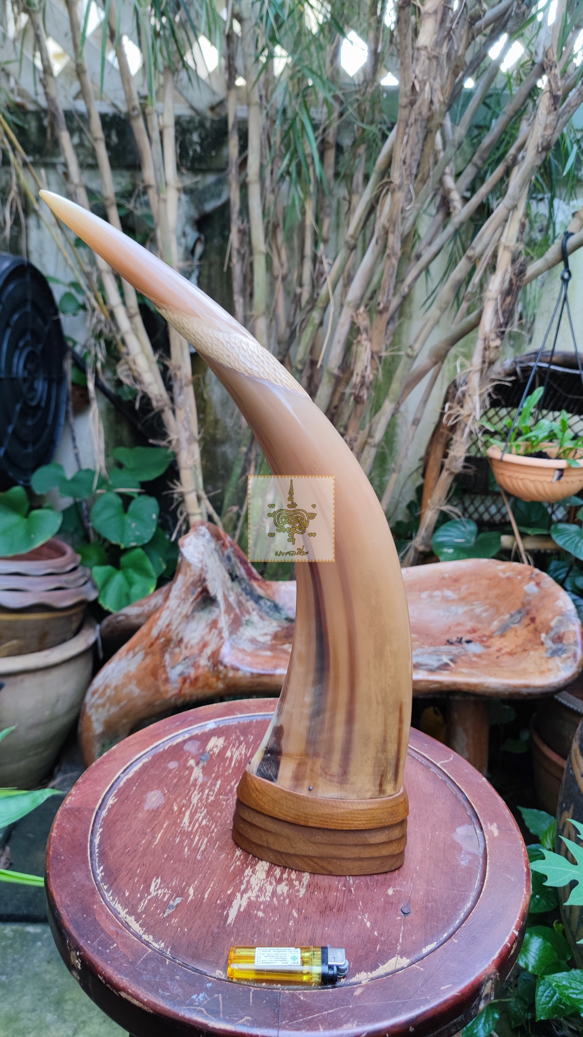 เขาควายเผือก 5