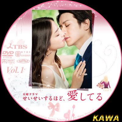Seisei Suruhodo, Aishiteru ญี่ปุ่น ซับไทย DVD 2 แผ่น