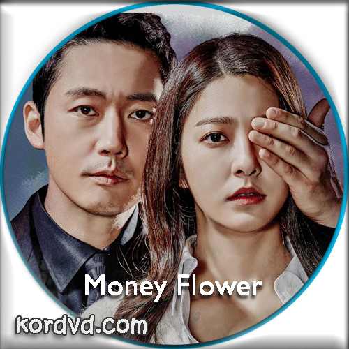 Money Flower ซับไทย เกาหลี (24 ตอนจบ) DVD 6 แผ่น