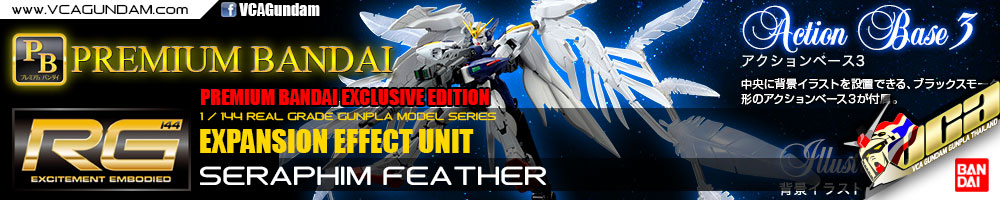 RG P-Bandai EXPANSION EFFECT UNIT 