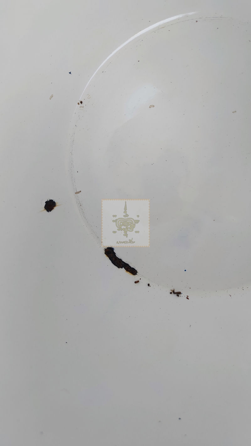 หม้ออวย ใบใหญ่