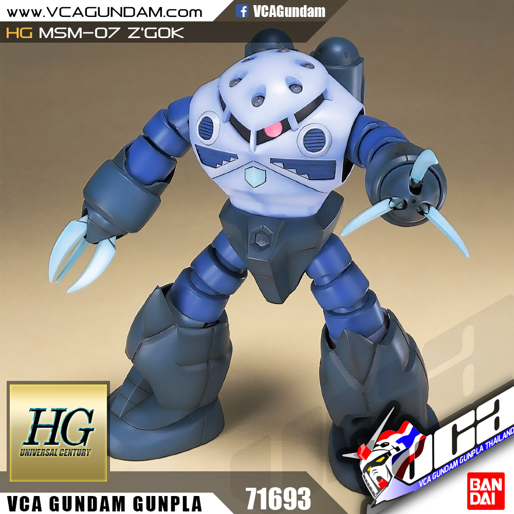 HG MSM-07 Z'GOK