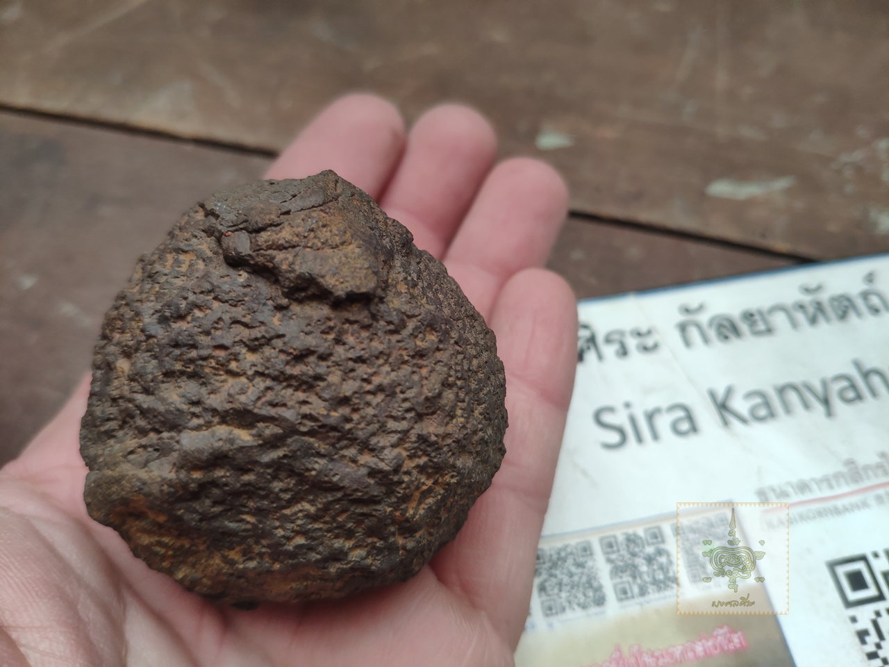 เหล็กไหลภูเขาควาย หินกินเหล็ก ตาข่ายพันชั้น ขนาดใหญ่