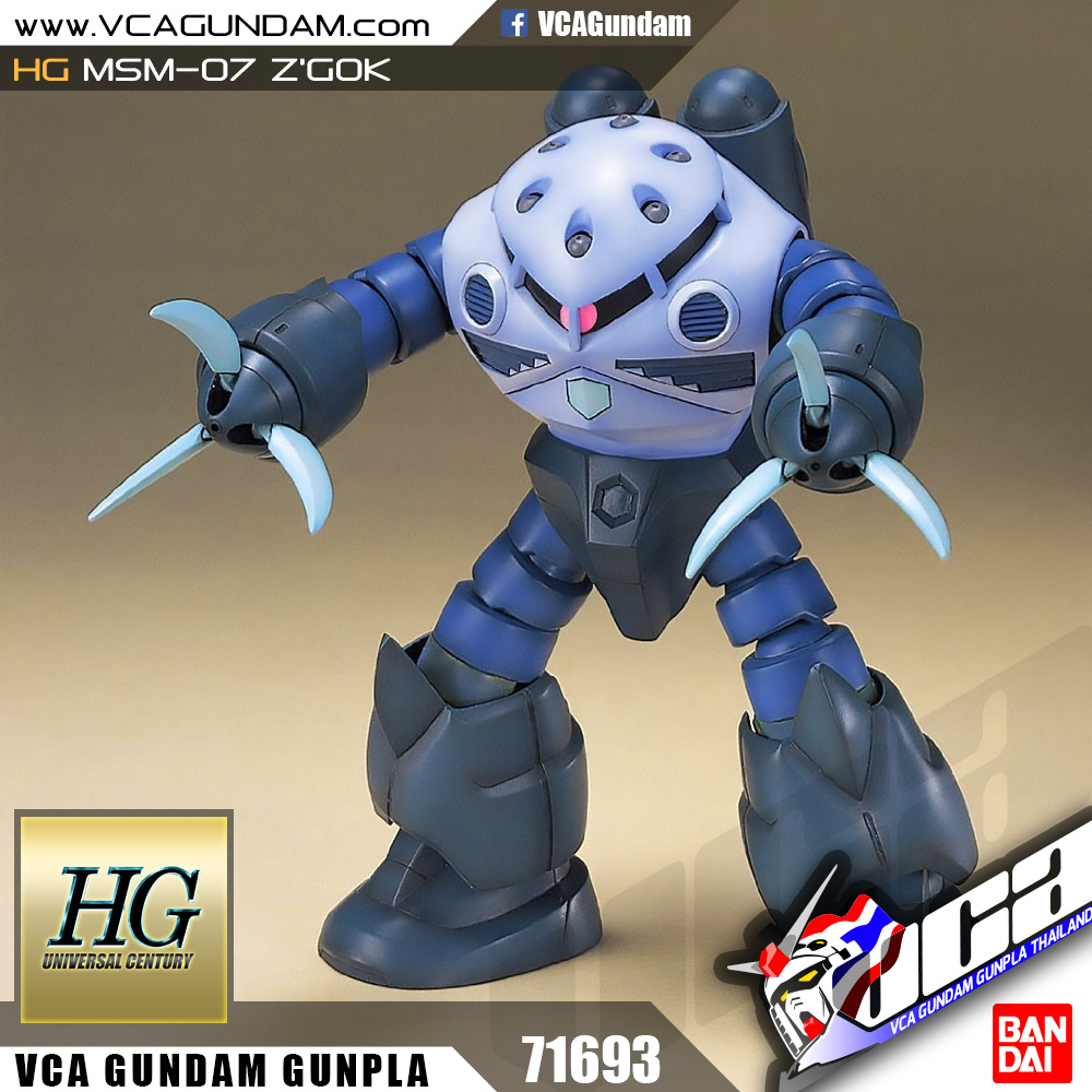 HG MSM-07 Z'GOK