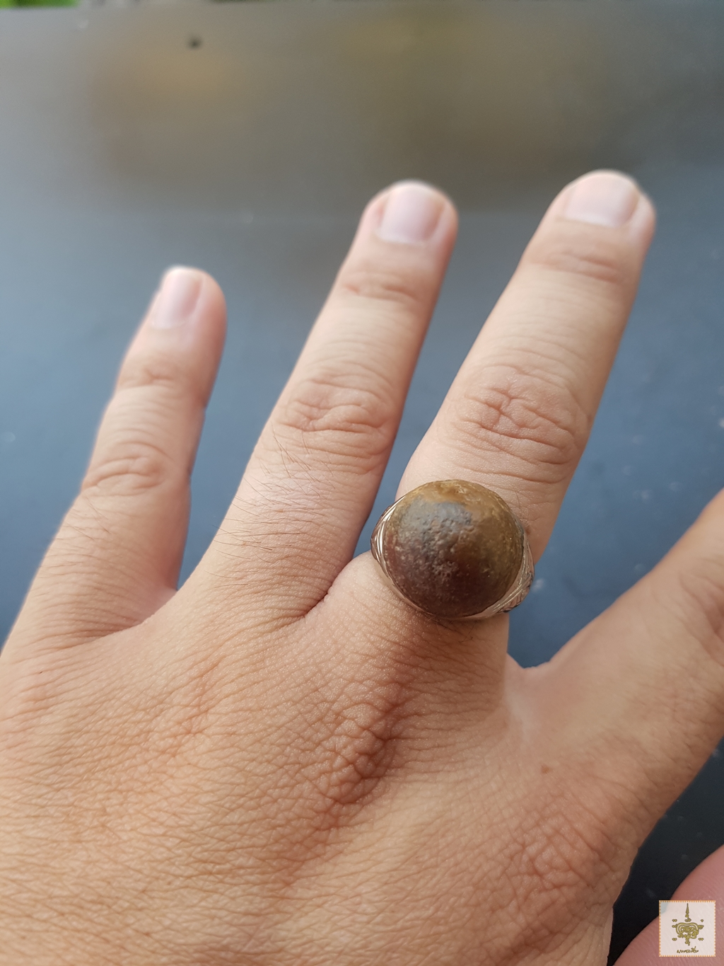 แหวนหมากไม้มณีโคตร