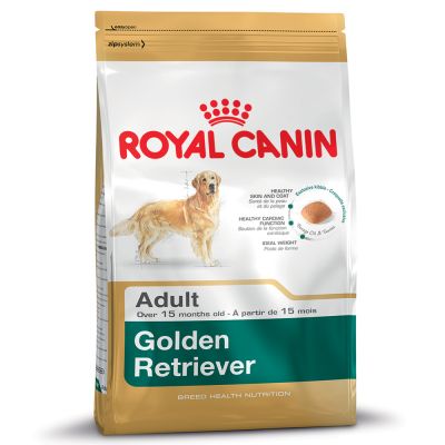 Golden Retriever สุนัขพันธุ์โกลเด้น รีทรีฟเวอร์
