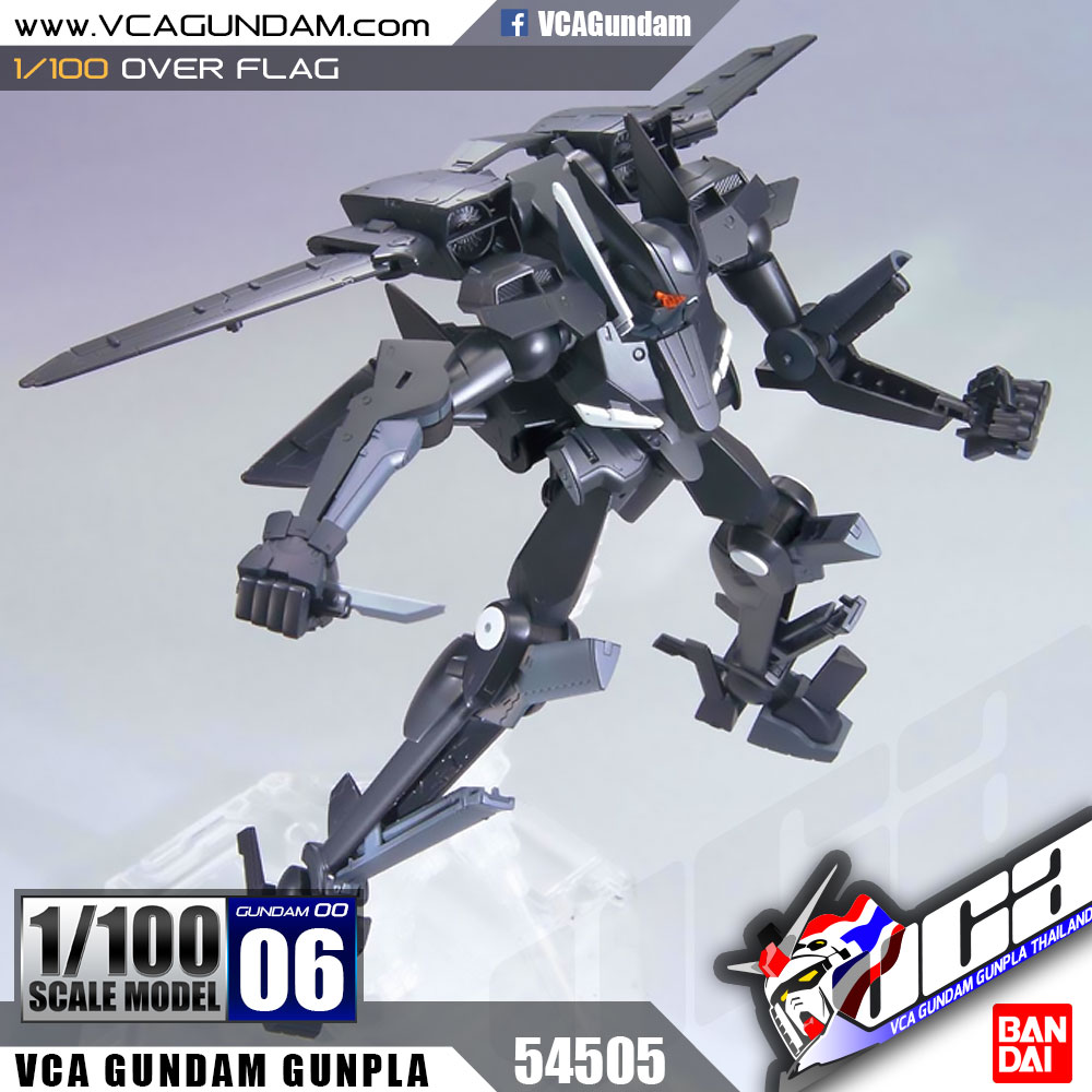 1/100 OVER FLAG อเวอร์ แฟล็ก