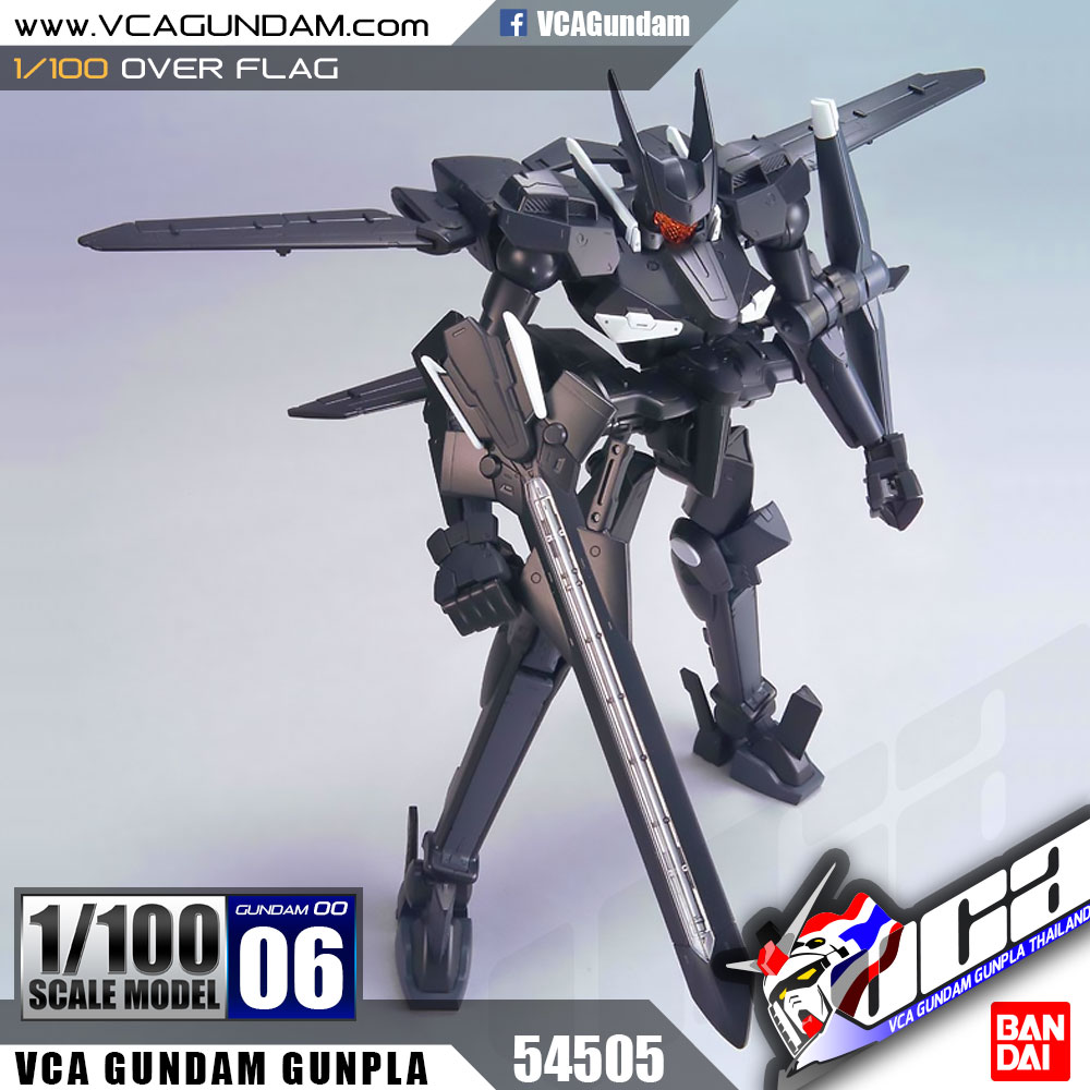 1/100 OVER FLAG อเวอร์ แฟล็ก
