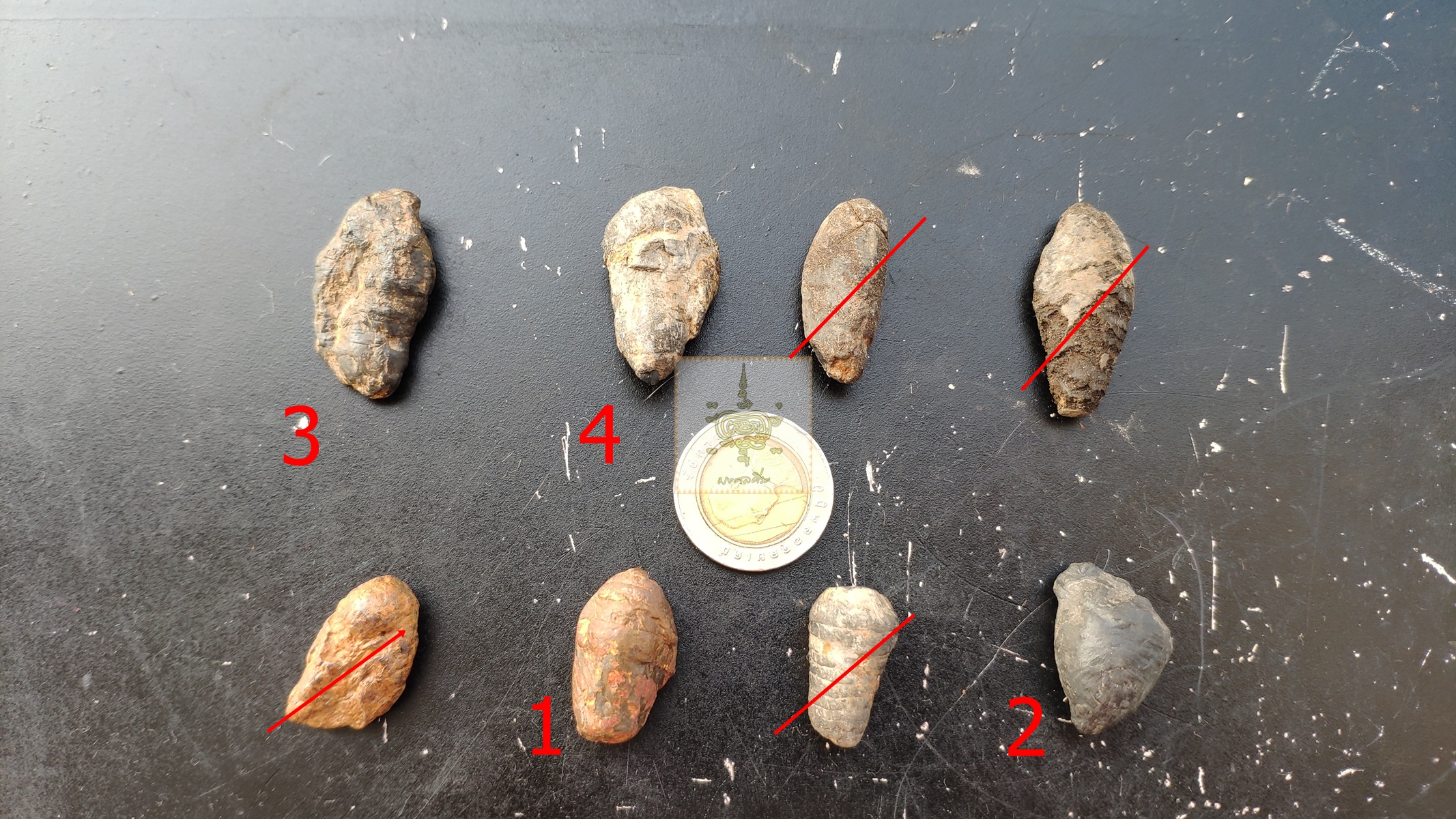 คตดักแด้ ชุดที่ 2