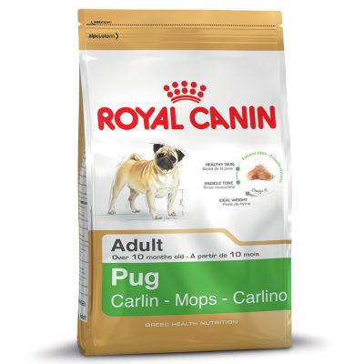 Pug สุนัขพันธุ์ปั๊ก