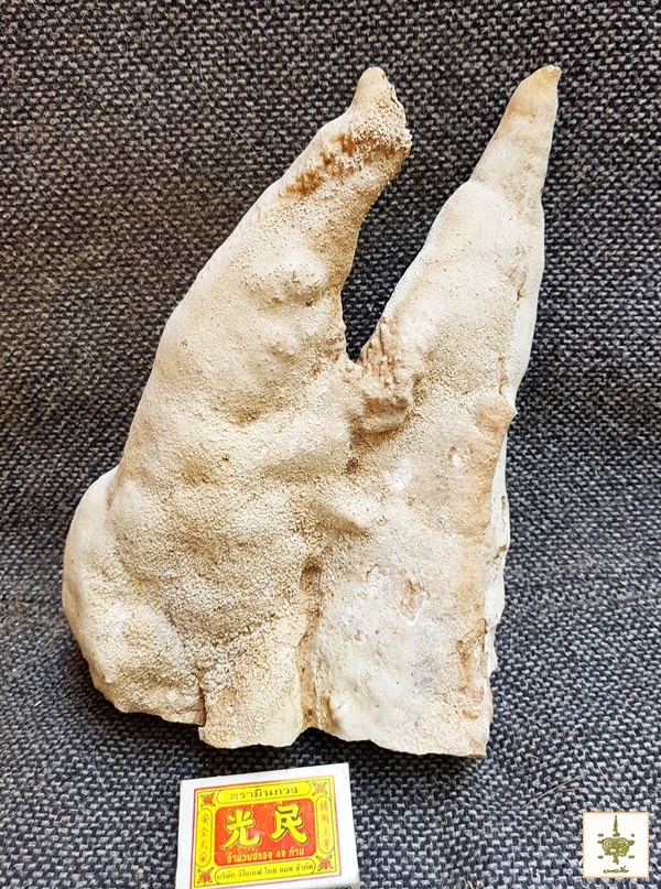 หินย้อย ธรรมชาติ