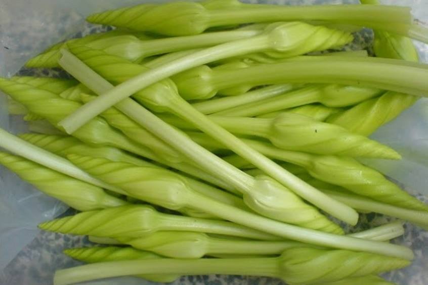ชมจันทร์ ไม้ดอกกินได้ MOON FLOWER MORNING GLORY 10 เมล็ด