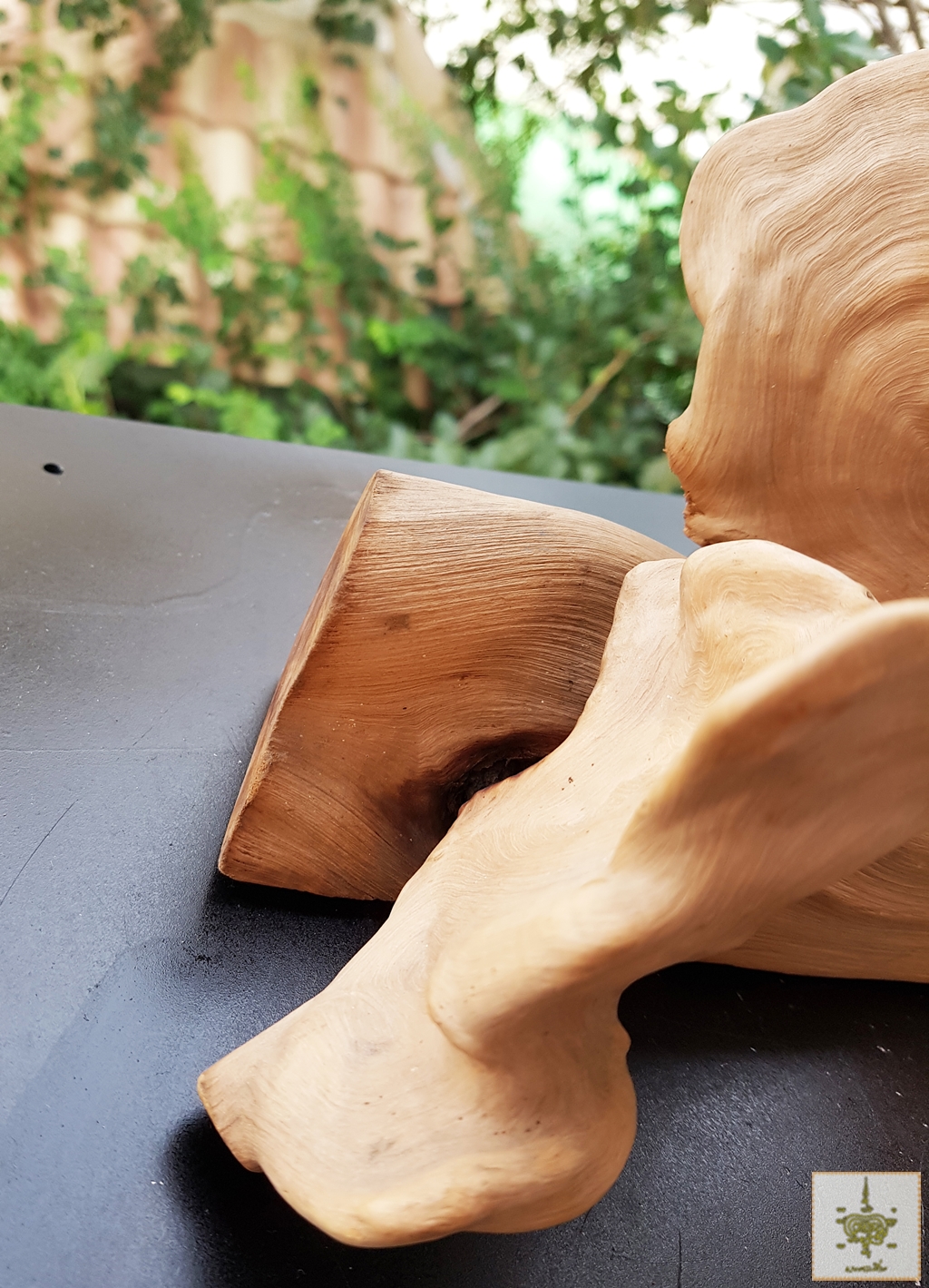 ขอนไม้แปลก