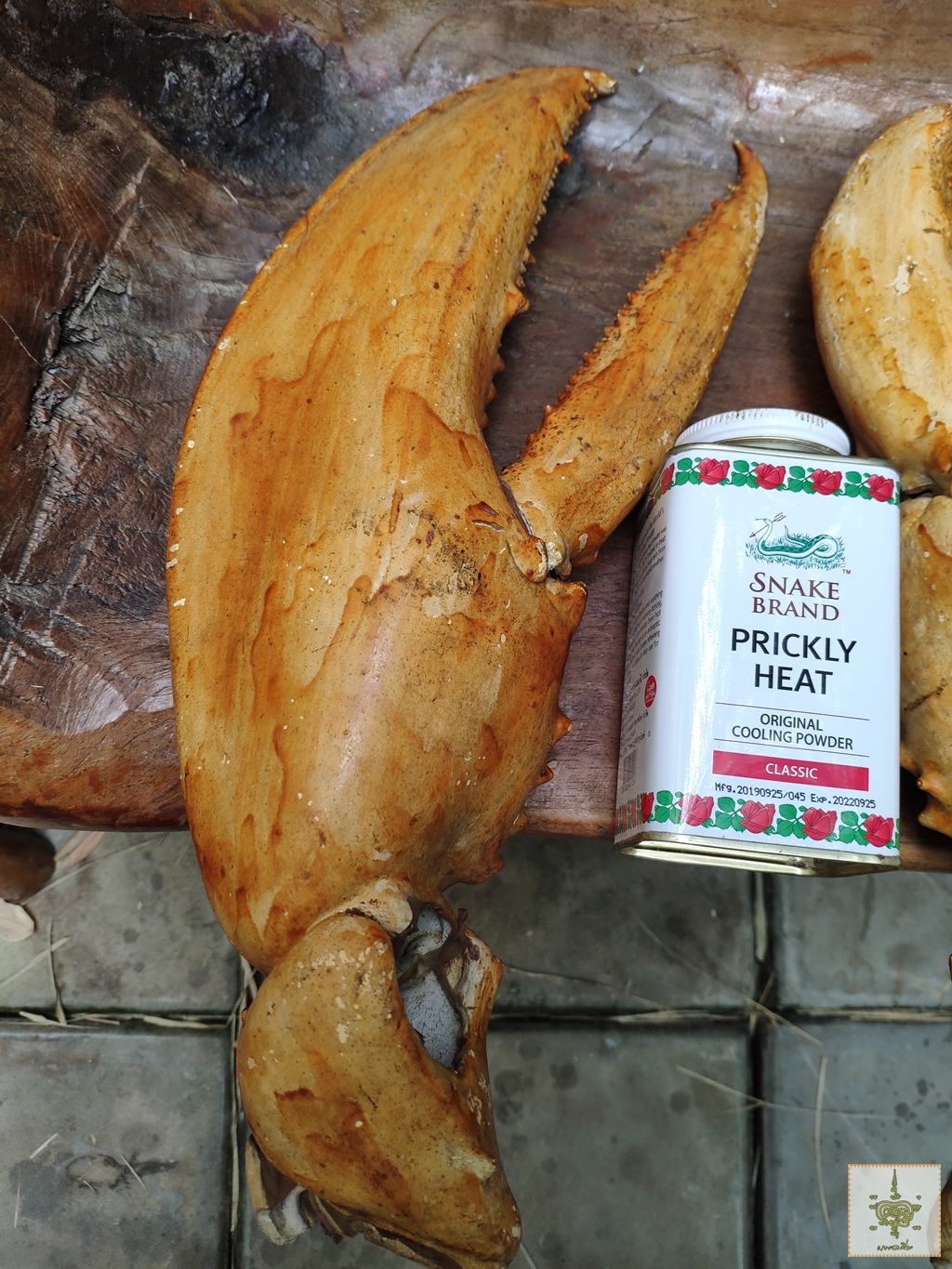 ก้ามปู 1 คู่