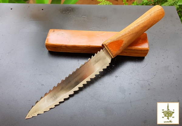 มีดฟันฉลาม