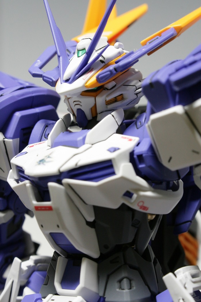 MG 1/100 GUNDAM ASTRAY BLUE FRAME D Painted build by 건매니아