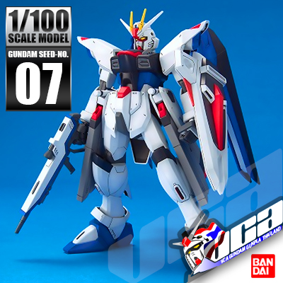 1/100 FREEDOM GUNDAM