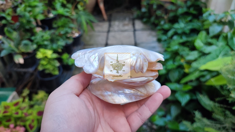 ชุดที่เขี่ยบุหรี่หอยงานเก่า