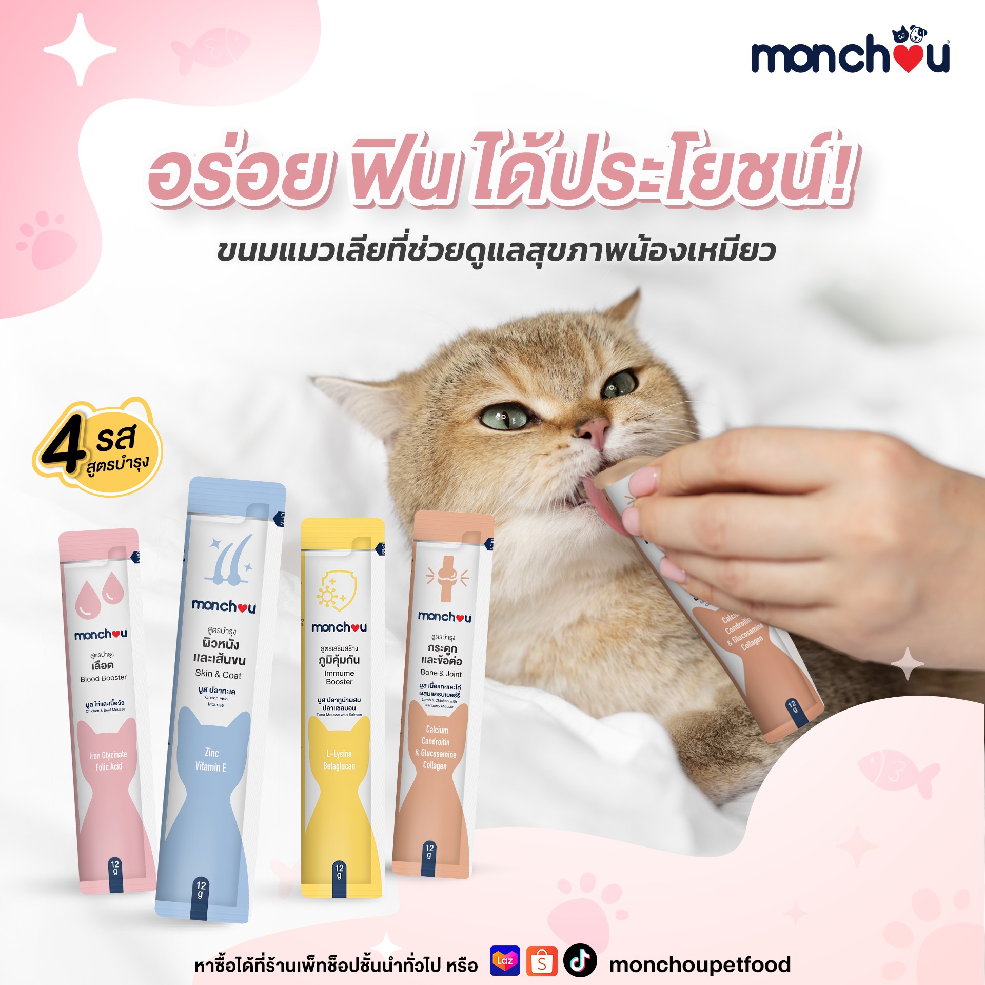 Monchou ขนมแมวเลียมองชู สูตรบำรุง 4 รสชาติ 4 สูตร ขนาด 12g x 30 ซอง