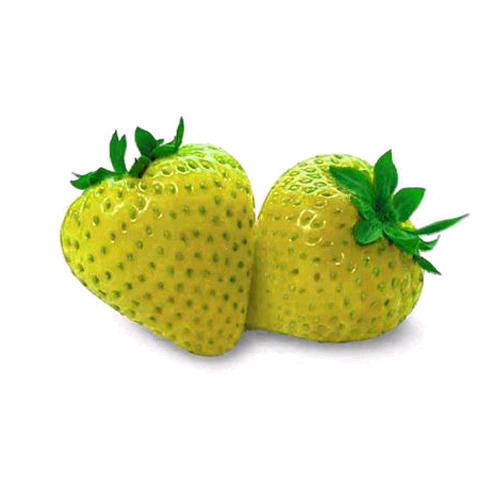 สตรอเบอรี่สีเหลือง Yellow Strawberry 30 เมล็ด