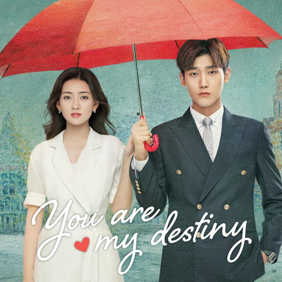 [จีนซับไทย] You Are My Destiny พรหมลิขิตนี้คือเธอ DVD 6 แผ่น