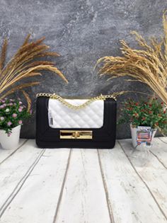 Aldo Cross Body Handbag