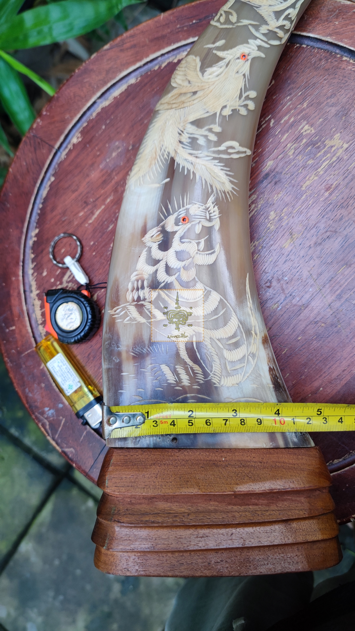 เขาควายเผือก 5