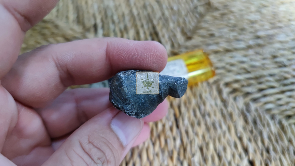 ฟอสซิลประการัง 2