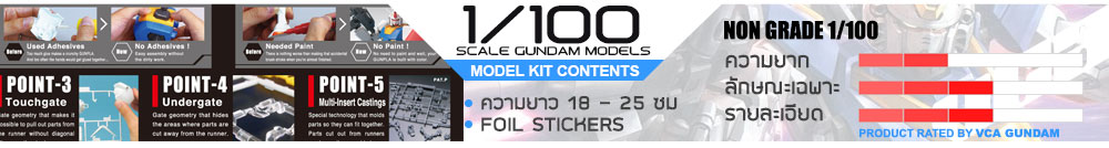 NG 1/100 กันดั้ม กันพลา คืออะไร?